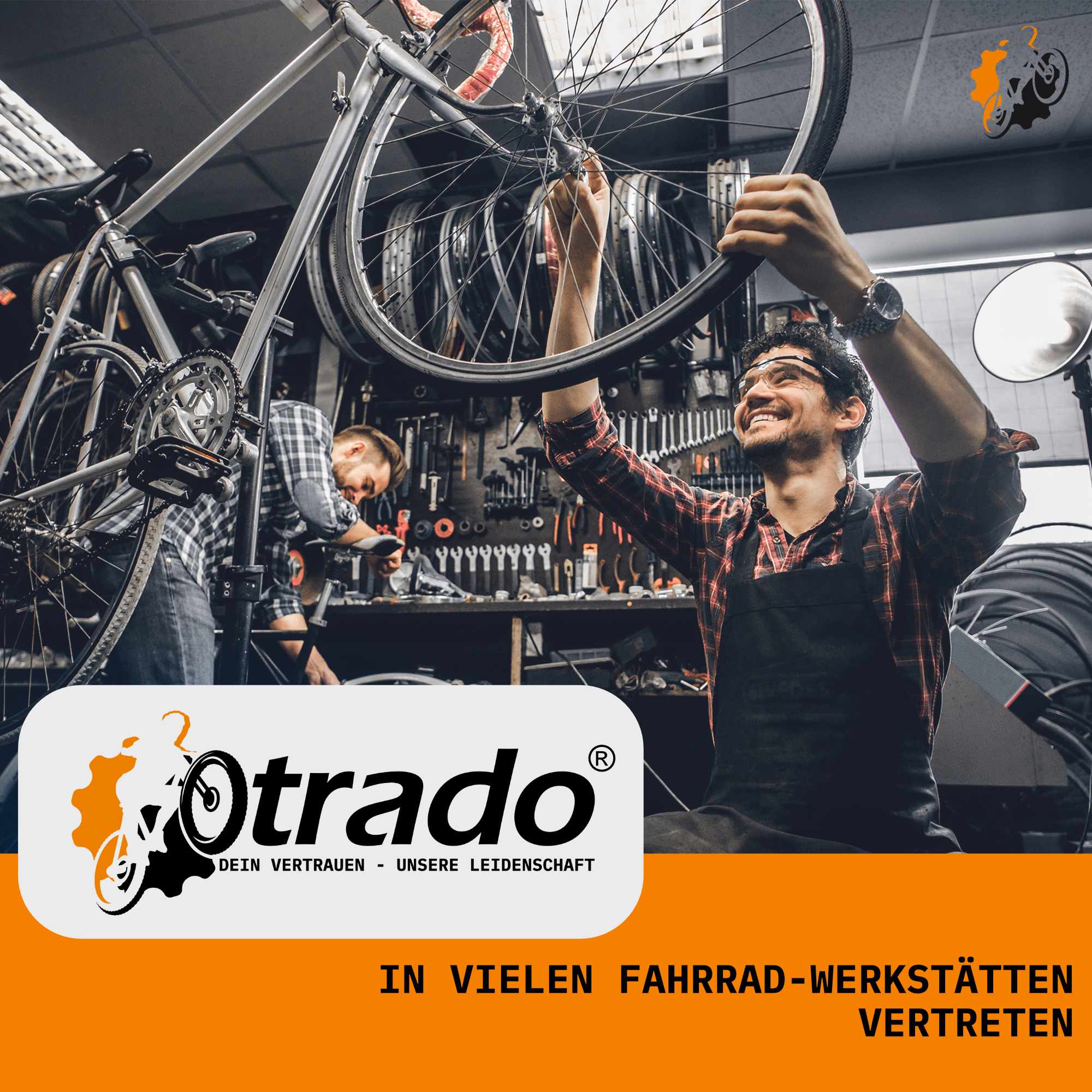 Entlüftungskit Service Kit für Shimano Scheibenbremsen inkl. 100ml Bremsflüssigkeit